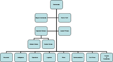 Figure 3. Command and Control Organization for Disaster Response